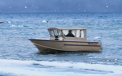 Alutroll-rekisteröinnit kasvaneet 47,5% vuoden 2023 aikana